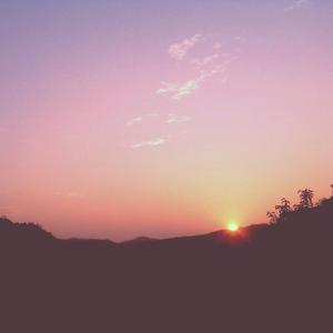 日韩美女深夜福利
